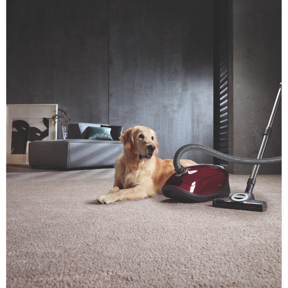 Miele Bagged Vacuum Cleaner Complete C3 Cat&Dog Tayberry Red