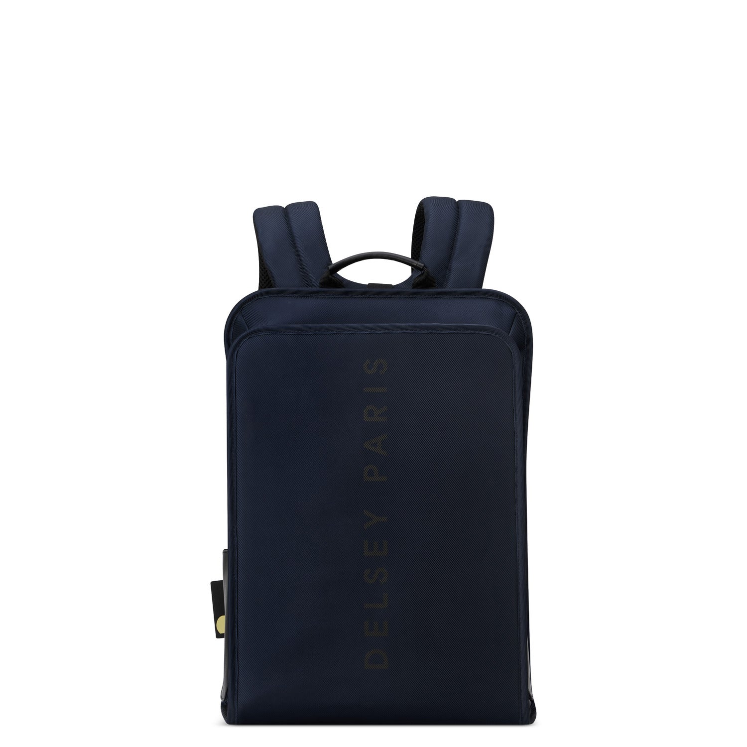 Delsey Arche 2 Compartment Backpack