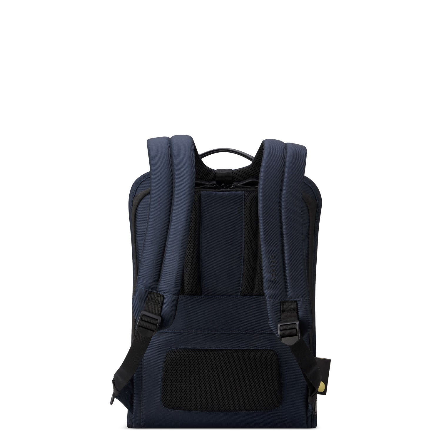 Delsey Arche 2 Compartment Backpack