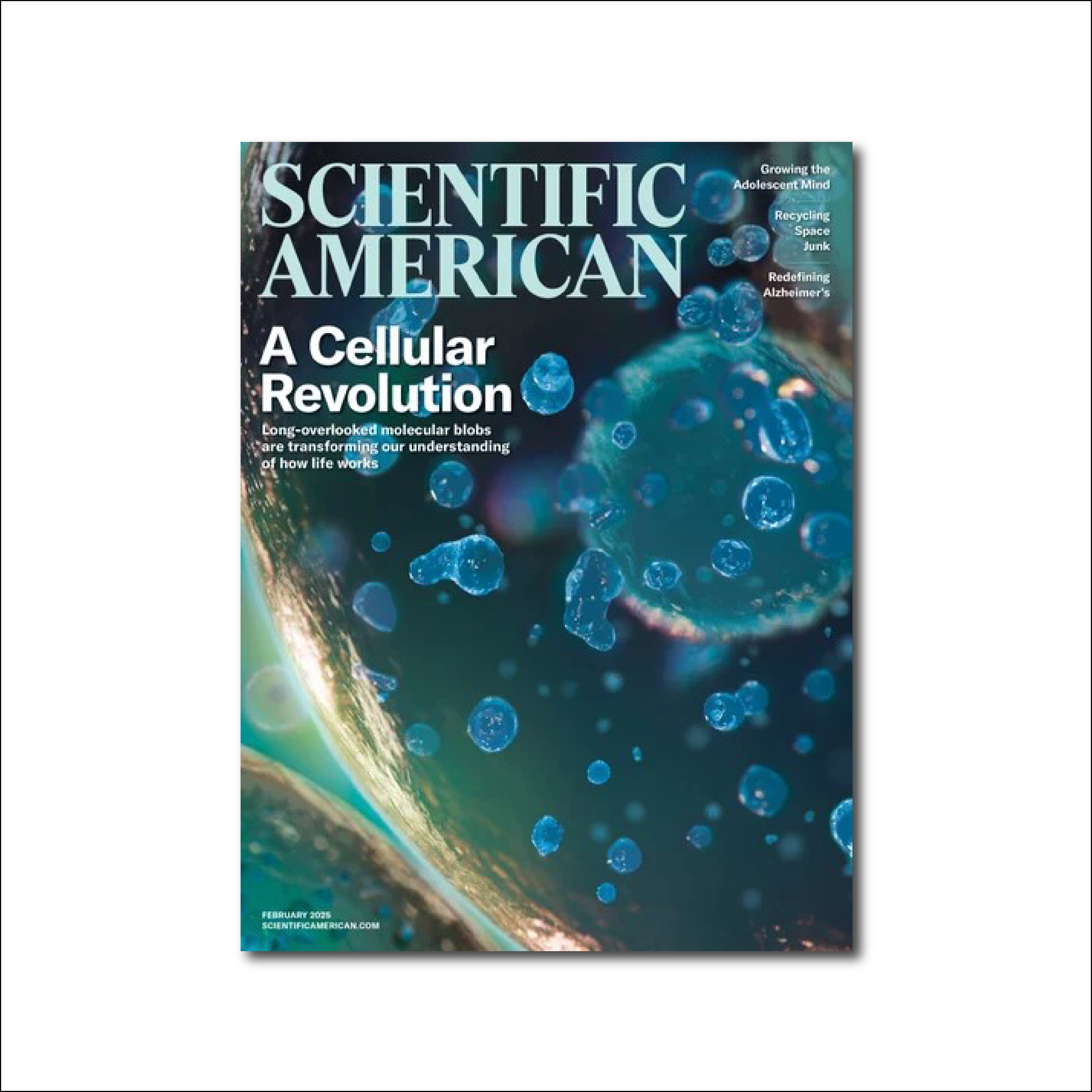 Scientific American Us February 2025