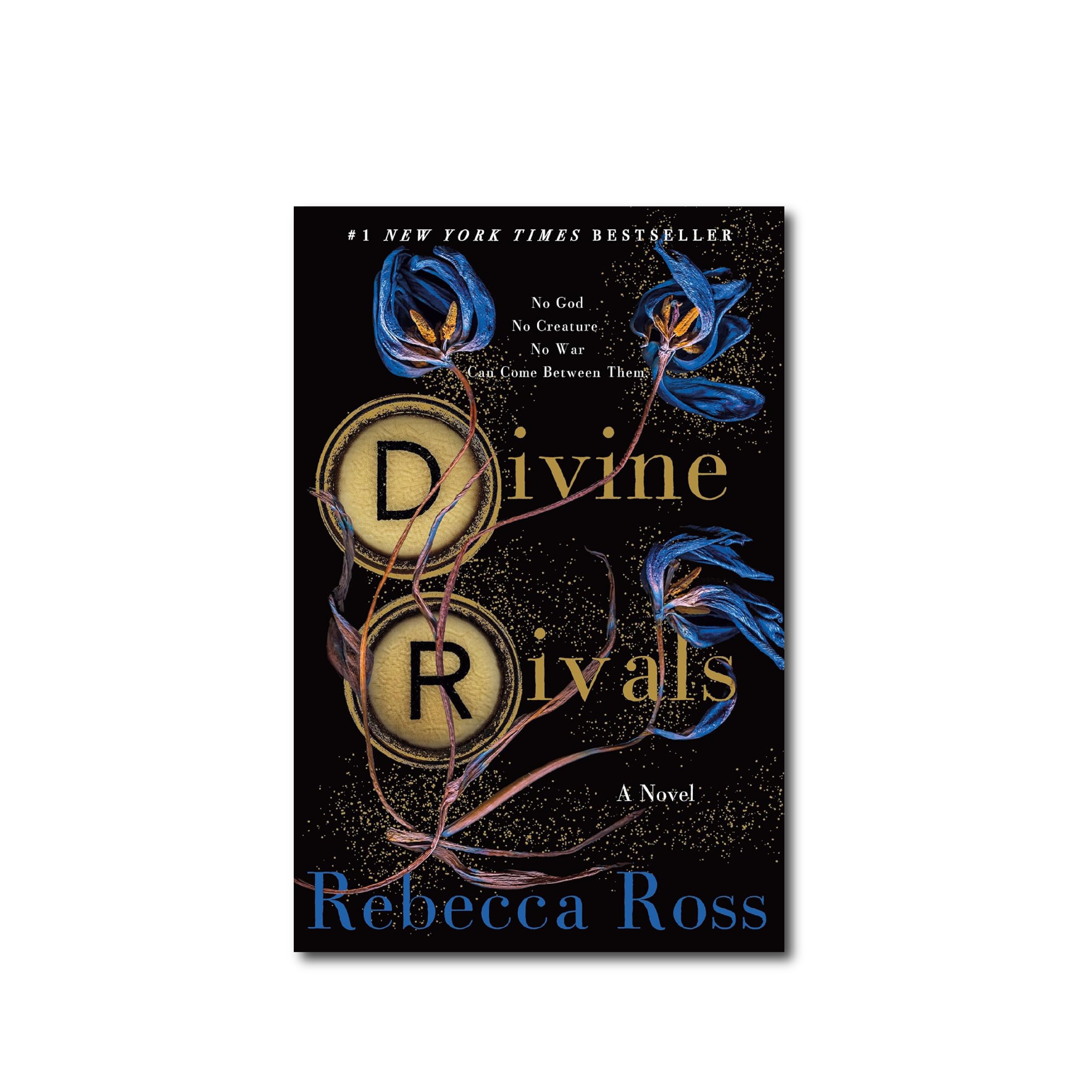 Divine Rivals : A Novel : 1