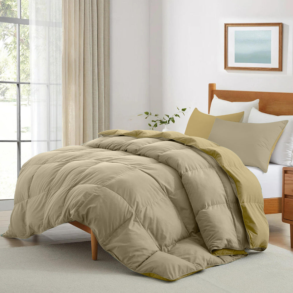 Cotton Home Adult 3-piece Set Reversible Comforter Beige