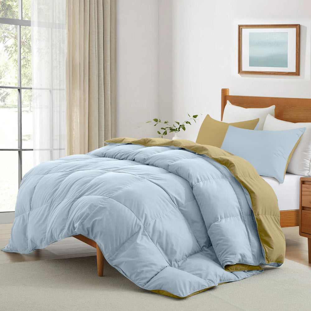 Cotton Home Adult 3-piece Set Reversible Comforter Sky Blue