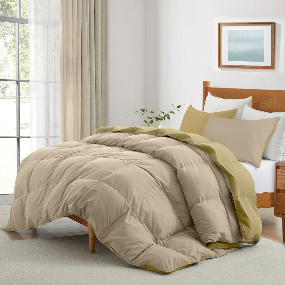 Cotton Home Adult 3-piece Set Reversible Comforter Stone