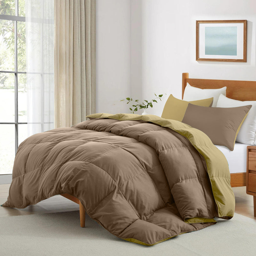 Cotton Home Adult 3-piece Set Reversible Comforter Golden