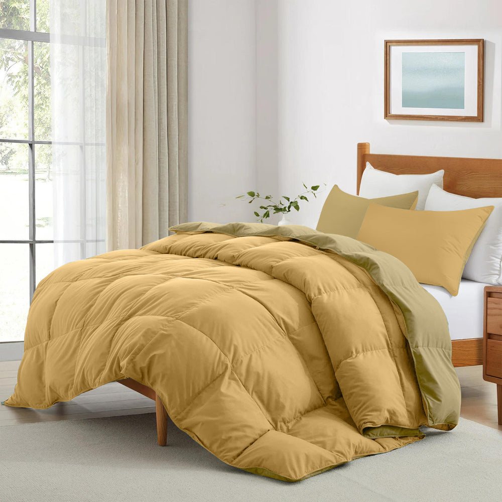 Cotton Home Adult 3-piece Set Reversible Comforter Gold