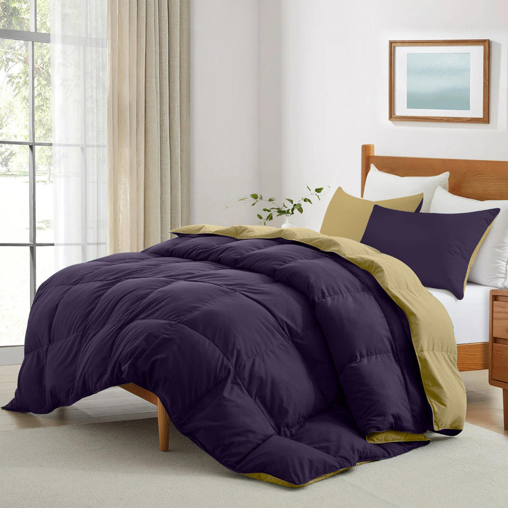 Cotton Home Adult 3-piece Set Reversible Comforter Violet