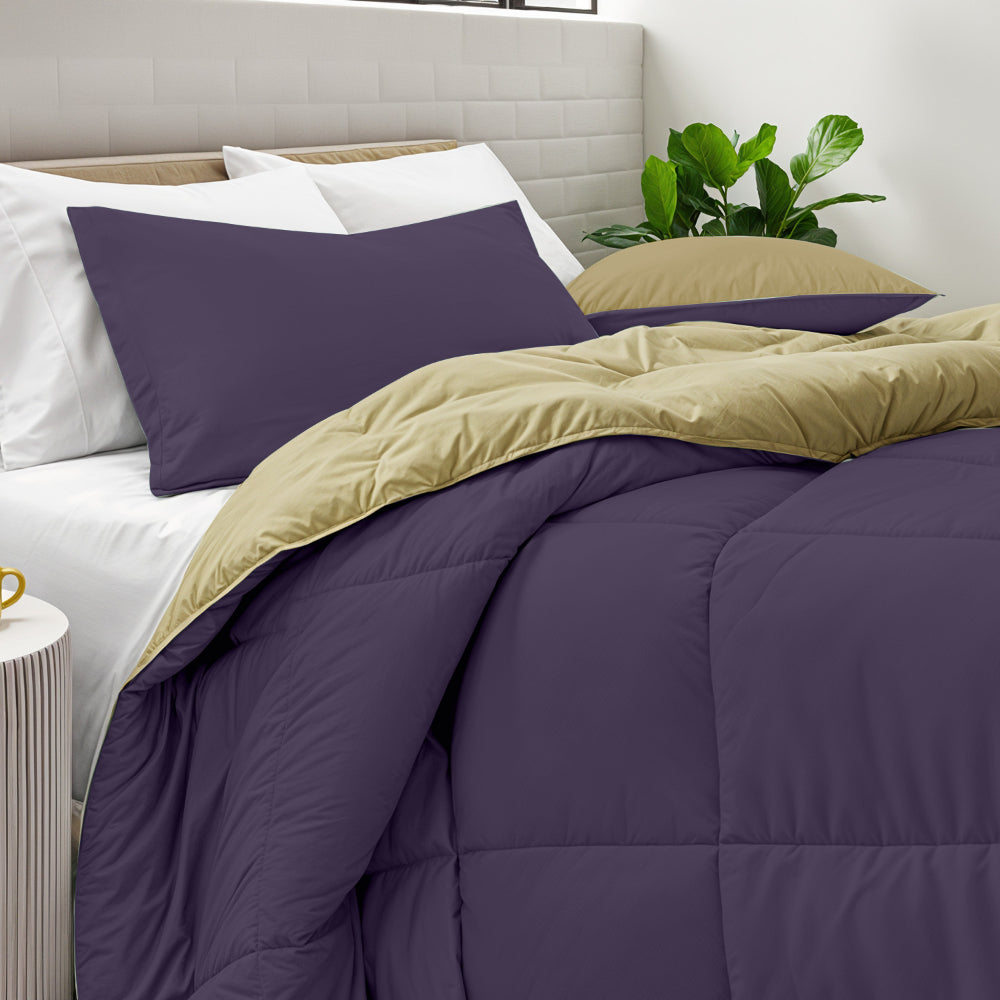 Cotton Home Adult 3-piece Set Reversible Comforter Violet