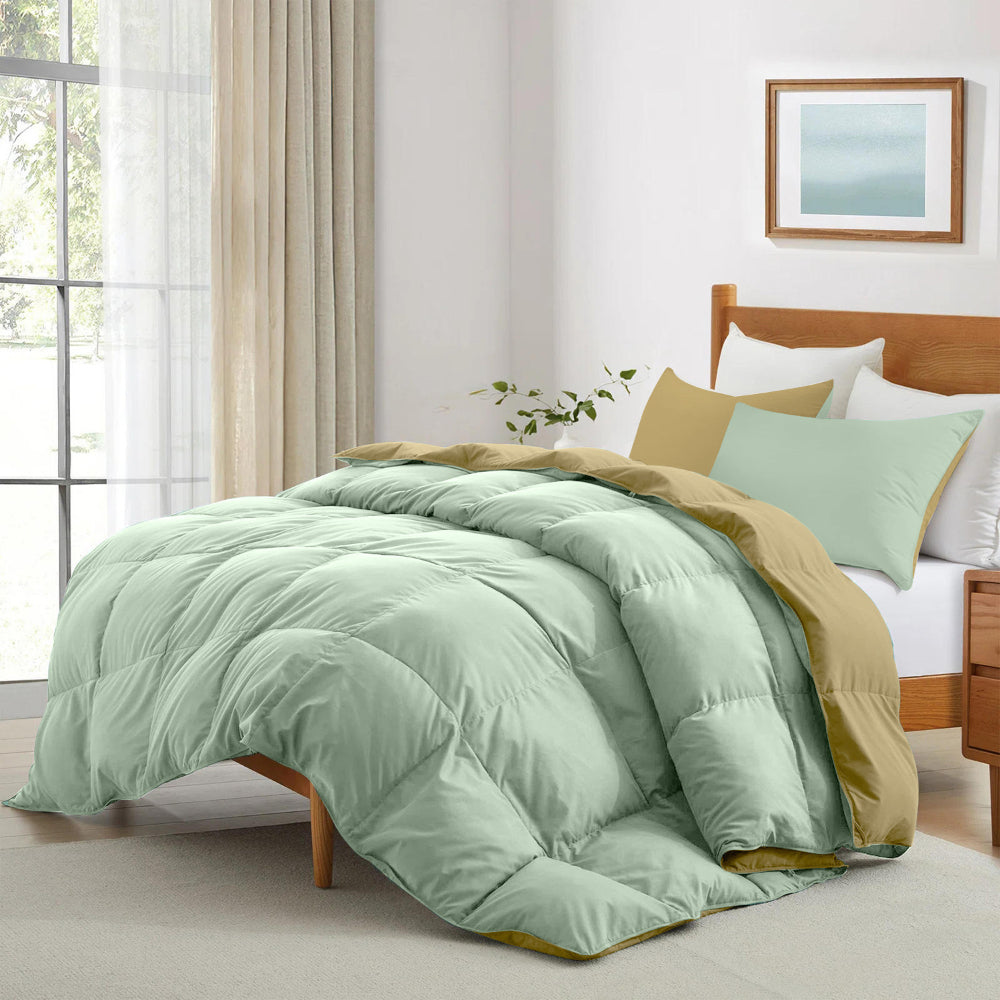 Cotton Home Adult 3-piece Set Reversible Comforter Mint