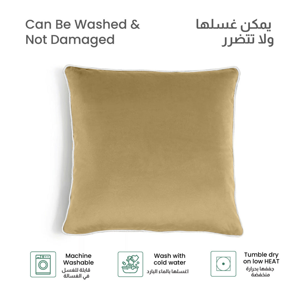 Cotton Home Velvet Cushion 45x45cm Pack of 2