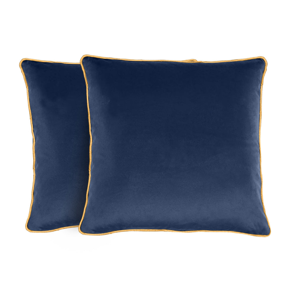 Cotton Home Velvet Cushion 45x45cm Pack of 2