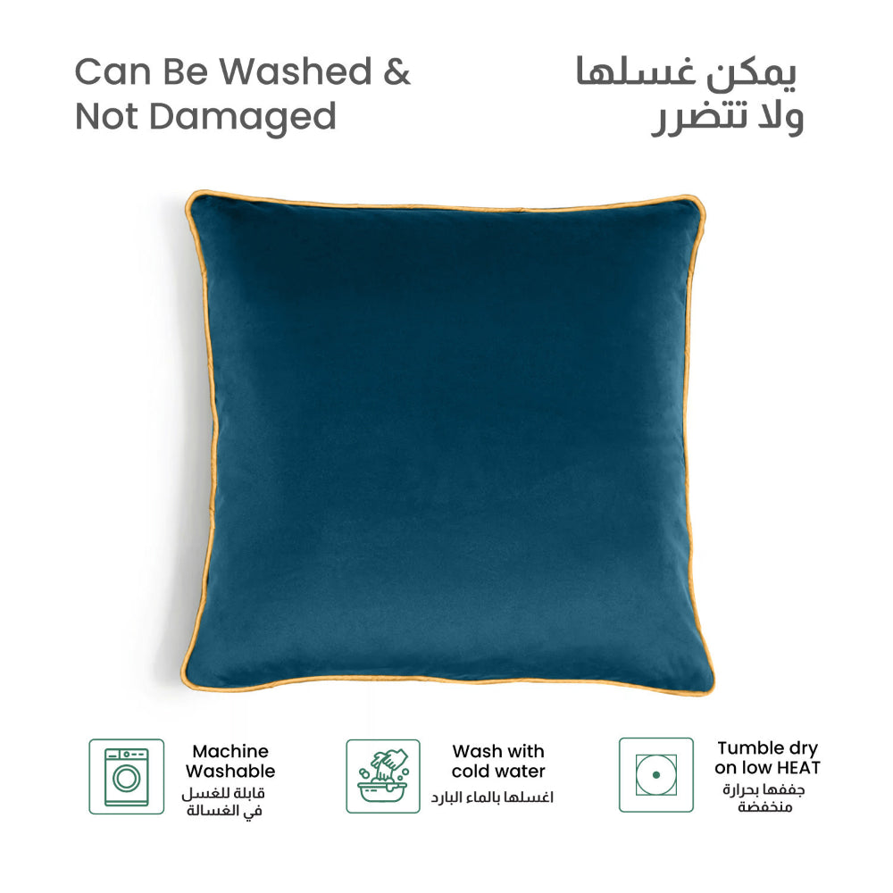 Cotton Home Velvet Cushion 45x45cm Pack of 2