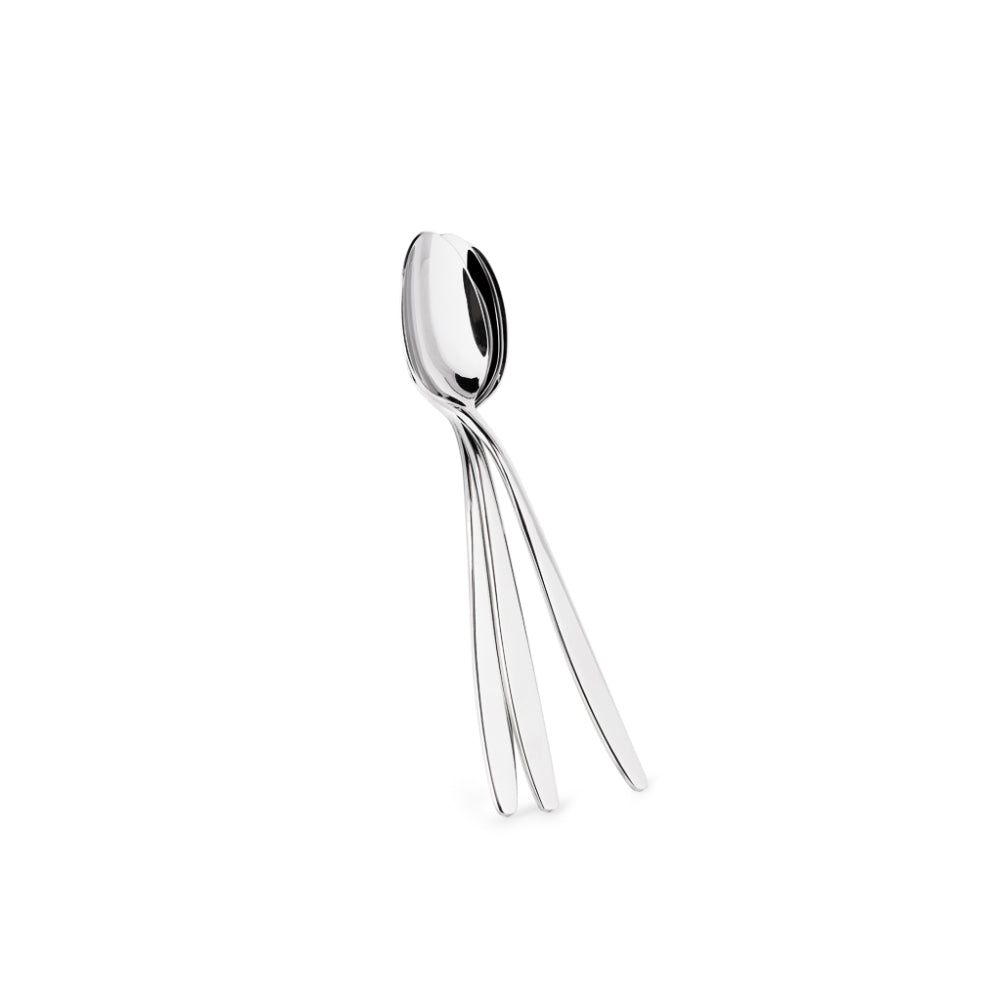 Fissman 3-Piece Dinner Spoon 20cm, 18/10  Stainless Steel Cutlery Set TRENTO Series