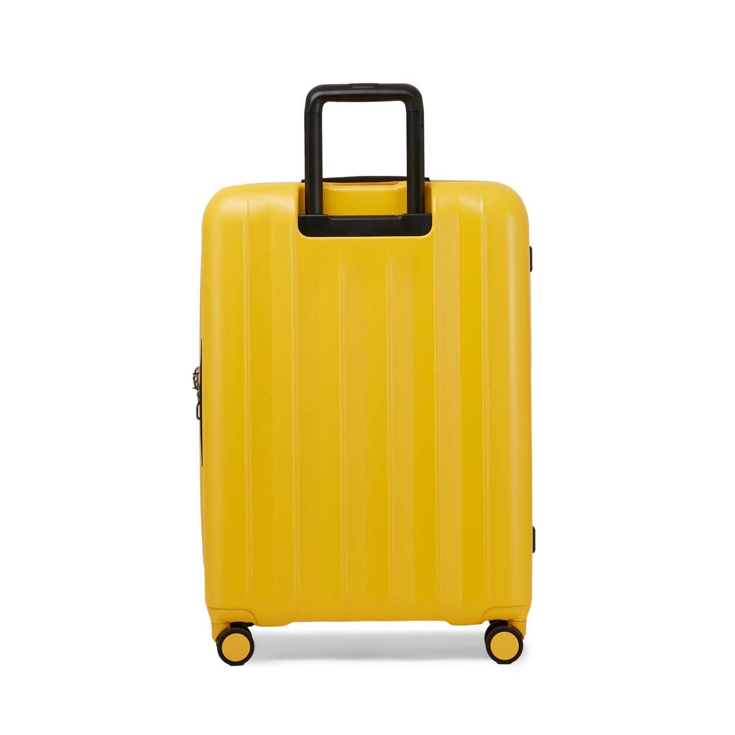 Echolac Amos Pro 4 Double Wheel Luggage Trolley