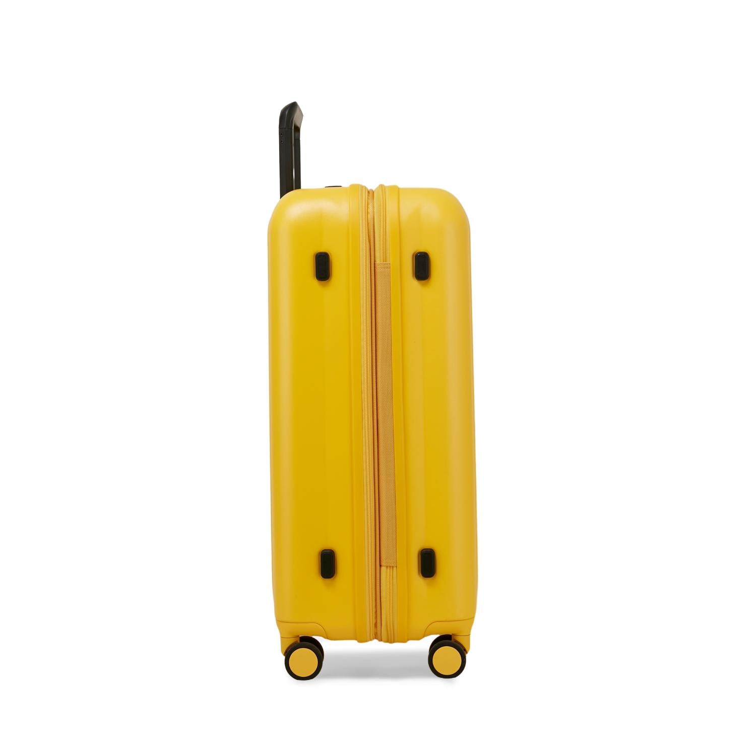 Echolac Amos Pro 4 Double Wheel Luggage Trolley