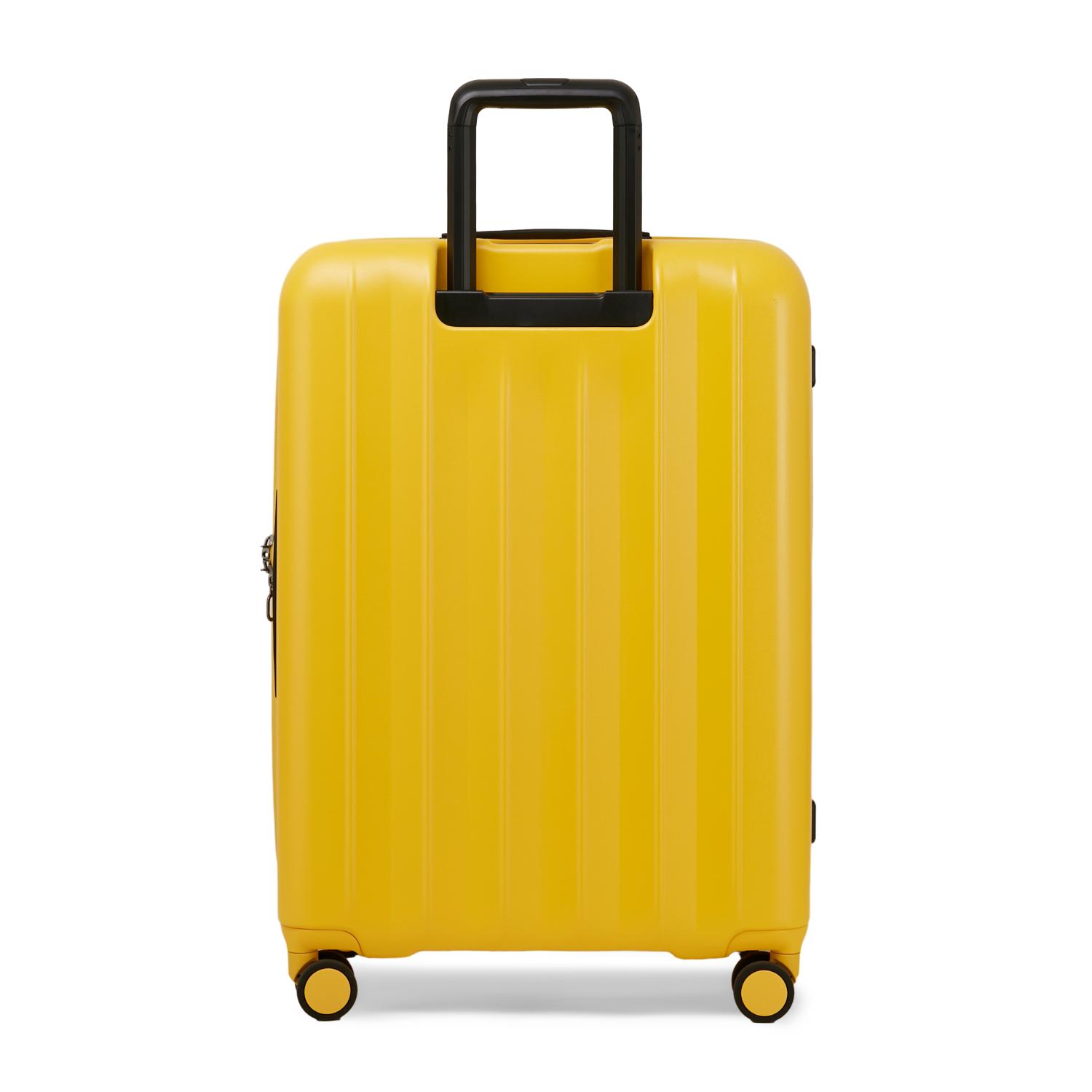 Echolac Amos Pro 4 Double Wheel Luggage Trolley