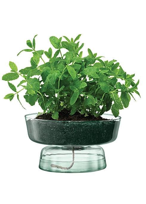 LSA Canopy Self Watering Planter  Recycled/Part Optic 