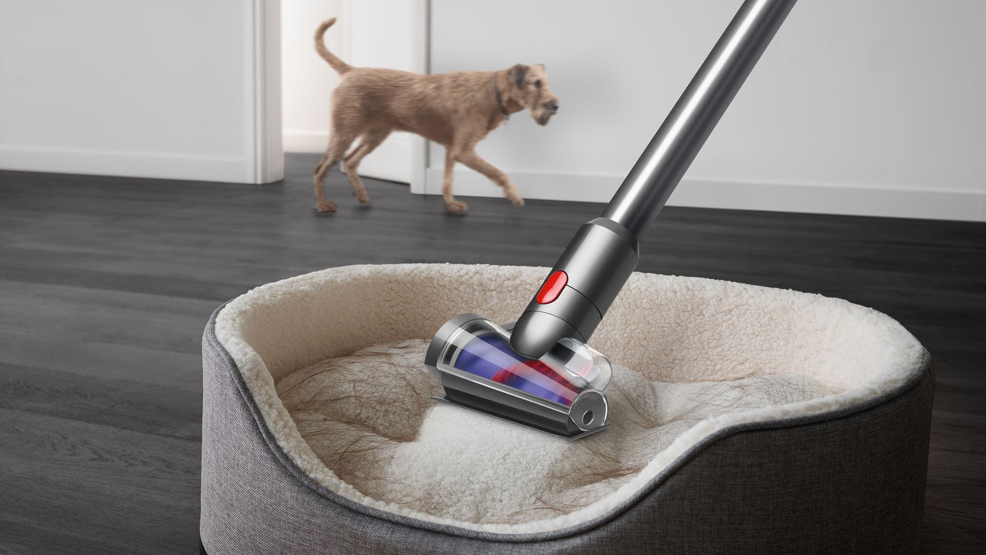 Dyson V15 Detecta Absolute Cordless Vacuum