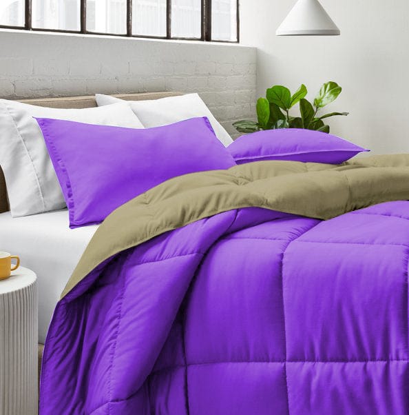 Cotton Home Adult 3-piece Set Reversible Comforter Violet