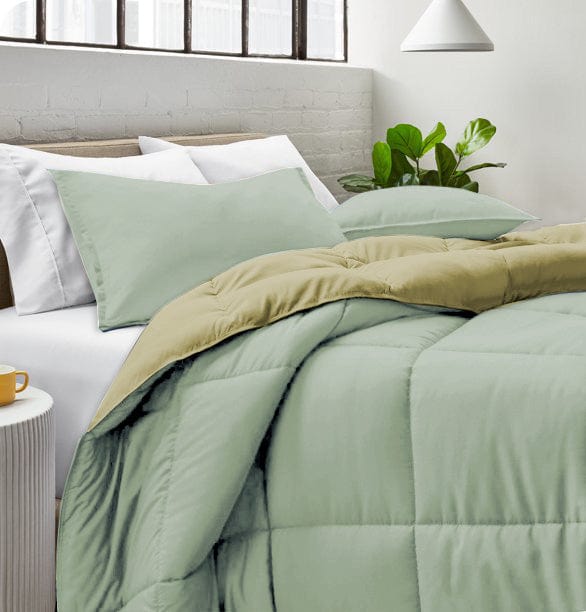 Cotton Home Adult 3-piece Set Reversible Comforter Mint