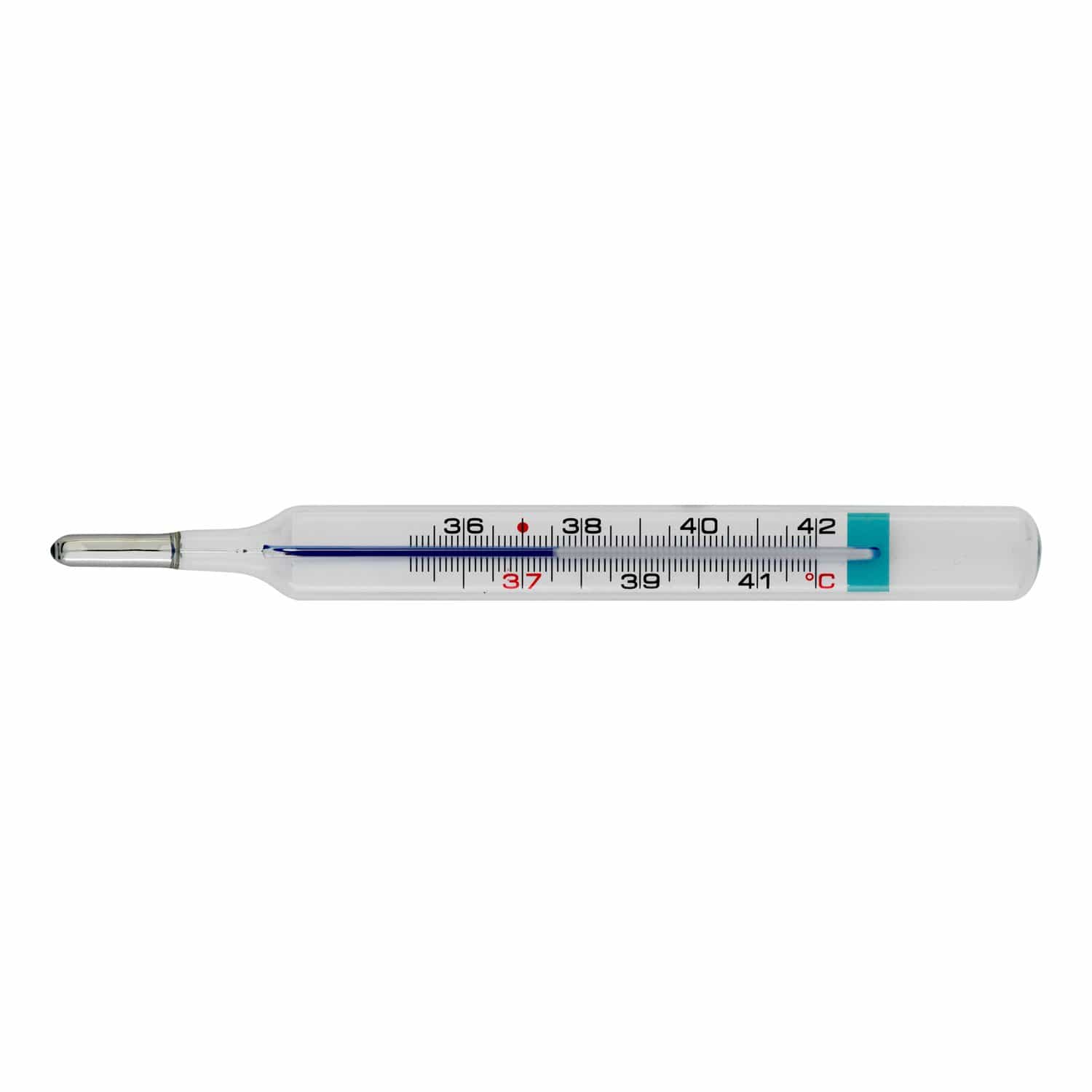 THERMO ECO THERMOMETER