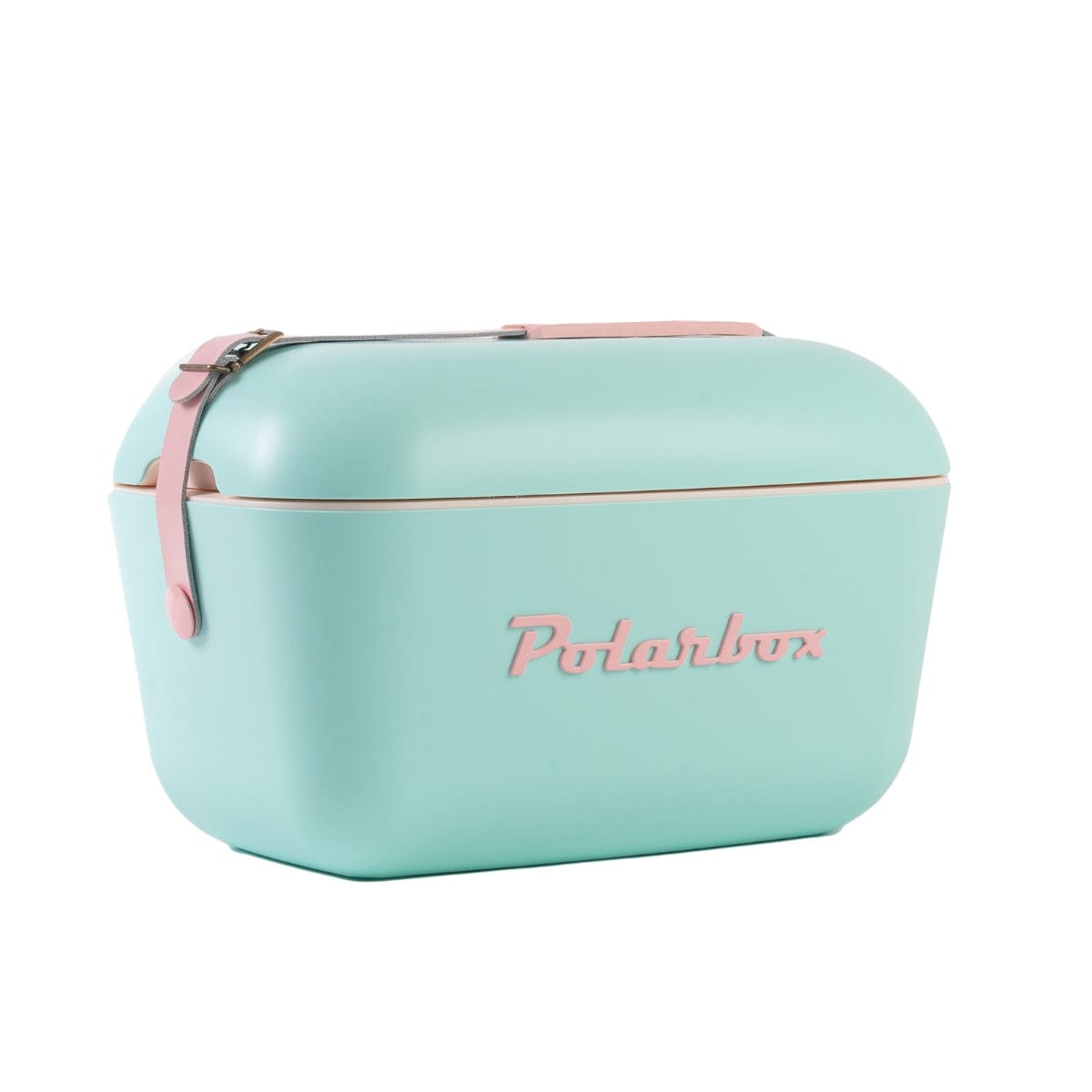 Polarbox 20L Pop Cooler Box with Leather Strap , Cyan & Baby Rose